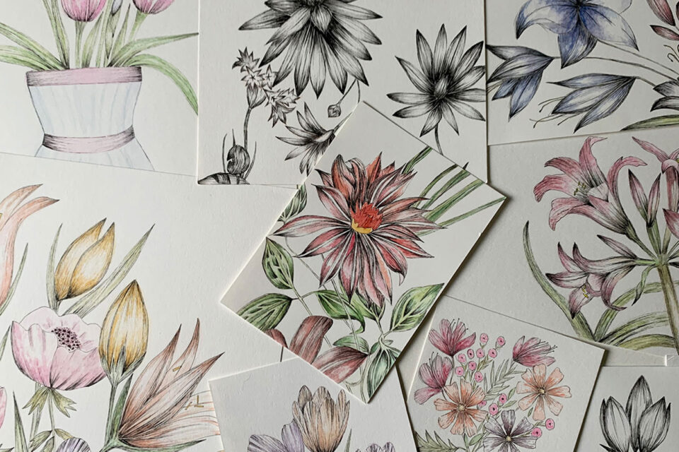 Botanical Pen & Watercolour Workshop