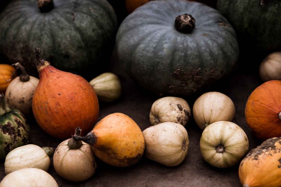 Squash